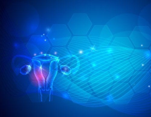 un possibile approccio terapeutico nel trattamento di selezionati casi di neoplasia ovarica